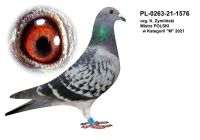 PL-0263-21-1576 org. Krzysztof Zymliński - Aktualnie MISTRZ POLSKI w kategorii