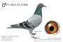 PL-0263-23-21896: Nowak Eugeniusz, 19. Lotnik, m in 15m, 17m, 31m