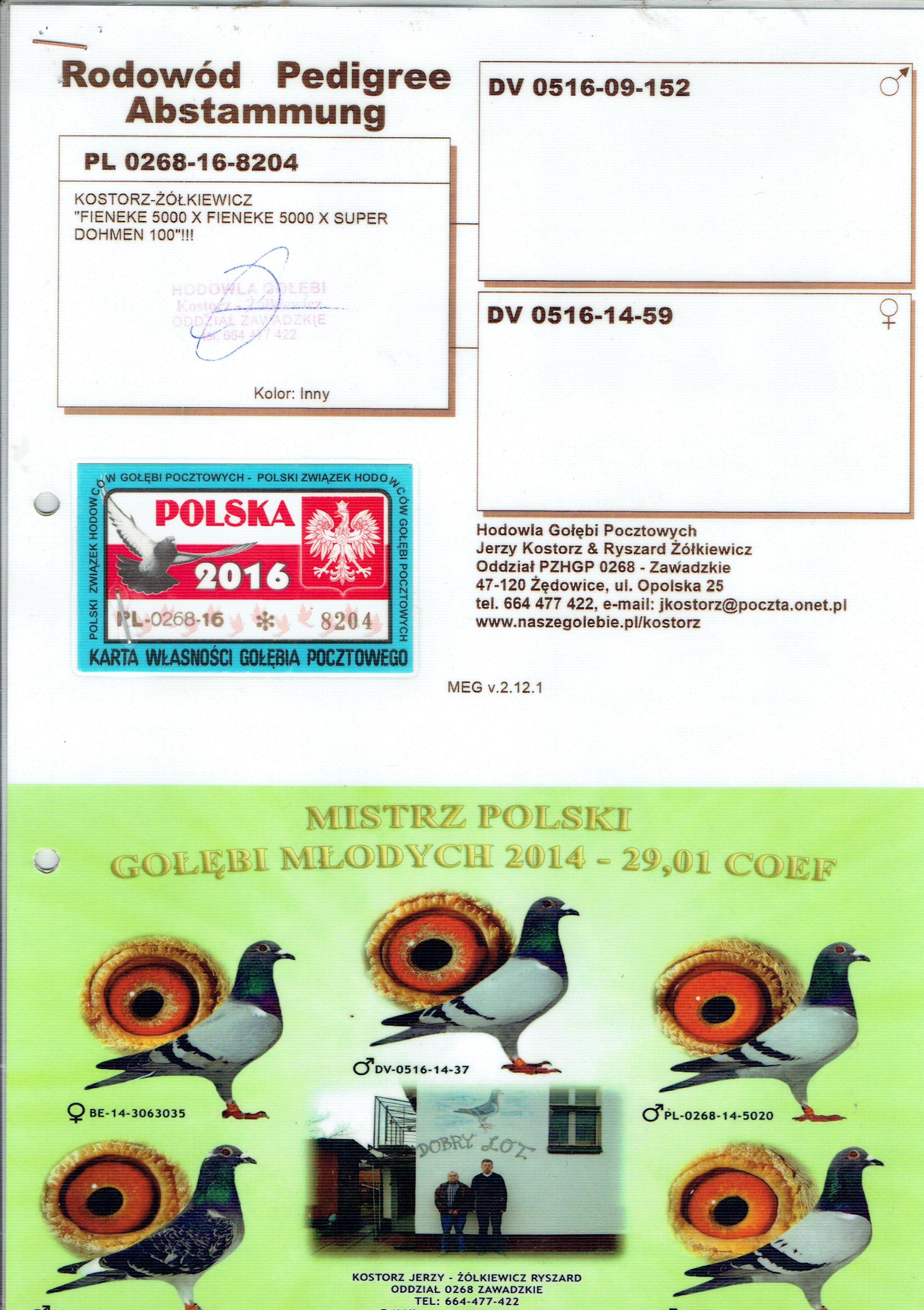 PL 0268 16 8204 Profesjonalny Portal Aukcyjny Go bi Pocztowych pl-0268-16-8204-profesjonalny-portal-aukcyjny-go-bi-pocztowych