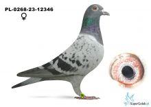 PL-0268-23-12346