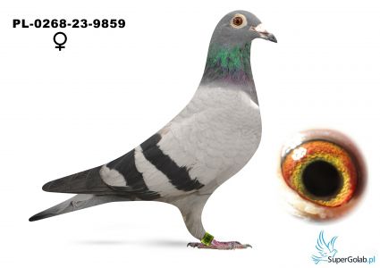 PL-0268-23-9859 