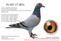 PL-027-17-2874