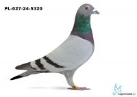 PL-027-24-5320 - Krzysztof Kawaler