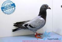 PL-0274-17-4735