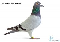 PL-0275-24-17097 - Zdzisław Sadowski