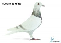 PL-0278-25-10383 17. OKRĘG PŁOCK