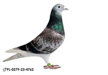 Pl-0279-23-4762 INB.MAŁEGO VOSA org. IKD ŁEPUCH