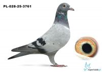 PL-028-25-3761 inbred MITU 