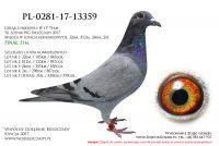 PL-0281-17-13359