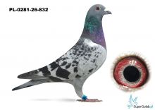 PL-0281-26-832