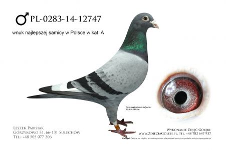 PL-0283-14-12747