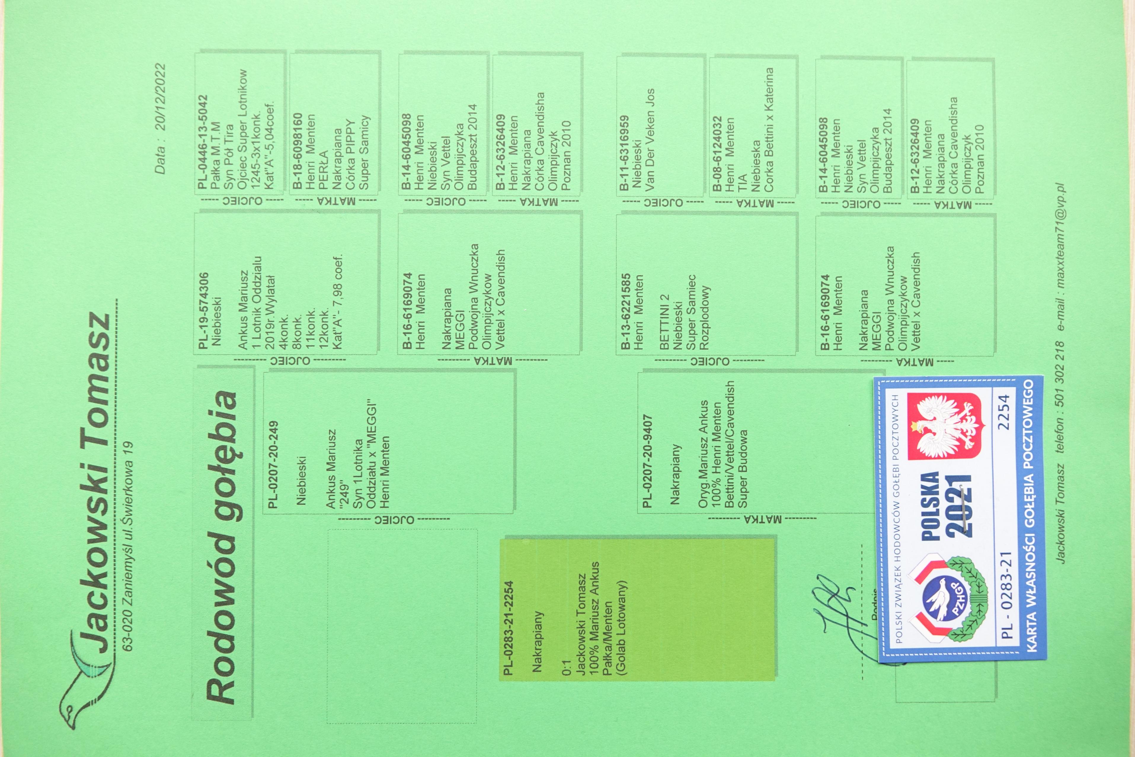 pl-0283-21-2254-profesjonalny-portal-aukcyjny-go-bi-pocztowych