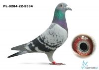 PL-0284-22-5384