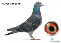 PL-0284-24-6211