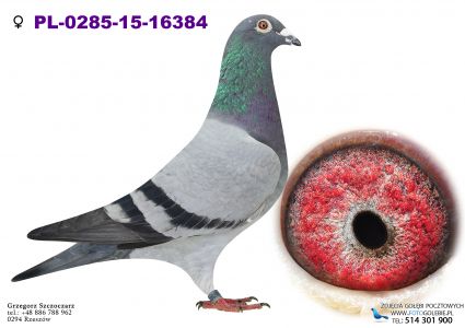 PL-0285-15-16384 Córka siostry 