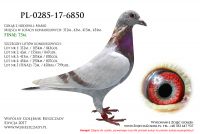 PL-0285-17-6850