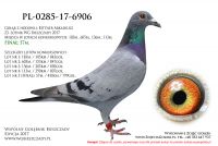 PL-0285-17-6906
