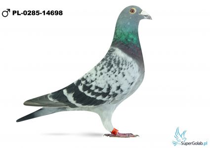 PL-0285-22-14698