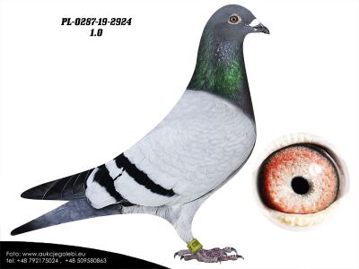 PL-0287-19 2924 - 100 % Leo Heremans-Janssen