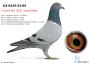 PL-0287-20-6220 Wnuczka 
