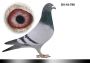 Pl-0287-2023-1818 Fineke 500 xKleine Dirk x Dirk Van Dyck