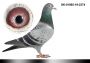 Pl-0287-2023-1818 Fineke 500 xKleine Dirk x Dirk Van Dyck
