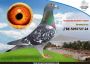 Pl-0287-2026-9155 ojciec i matka Orginał Jos Thone