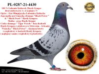 PL-0287-21-4430 Syn Olimpijczyka x Córka