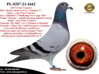 PL-0287-21-4442 Linia bazowa hodowli Petera Veenstry