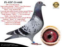 PL-0287-21-4448 Super kopia