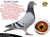 PL-0287-21-4453 Unikat - super inbred