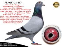 PL-0287-21-4474 Linia bazowa hodowli TJ. & J. Elzinga