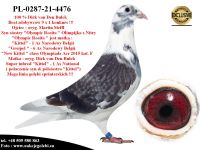 PL-0287-21-4476 Super inbred