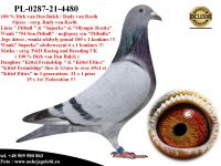 PL-0287-21-4480 Super linia