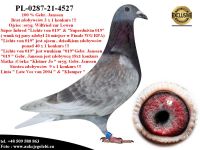 PL-0287-21-4527 Linia