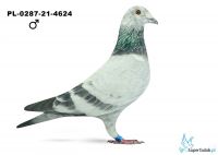PL-0287-21-4624