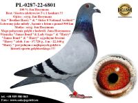 PL-0287-22-6801 Linia bazowa hodowli Jana Hooymansa