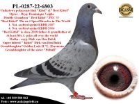 PL-0287-22-6803 Mega linie sprintu