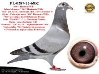 PL-0287-22-6832 Inbred