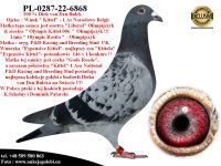 PL-0287-22-6868 Super inbred linii