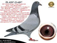 PL-0287-22-6897 oryg. Hardy Kruger & oryg. Ganus Family Loft