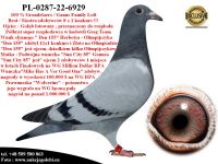 PL-0287-22-6929 Super geny na WG -Grondelaers/Ganus