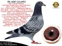 PL-0287-22-6953 Wnuk/czka 2 Olimpijczyków Lubomira Kubacka