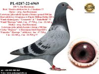 PL-0287-22-6969 Linia bazowa hodowli Jana Hooymansa