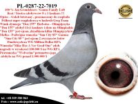 PL-0287-22-7019 Super geny na WG -Grondelaers/Ganus