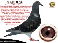 PL-0287-22-7027 Linia bazowa hodowli Josa Vercammena
