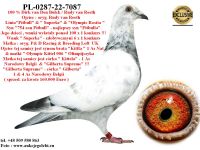 PL-0287-22-7087 Mega Sprint -linia