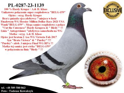 PL-0287-23-1139  Unikat - połączenie oryg. Hardy Kruger & oryg A.& H. Klaas