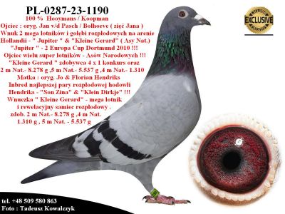 PL-0287-23-1190   Wnuk 