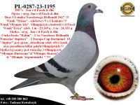 PL-0287-23-1195 Unikat- Linia bazowa hodowli Jan v/d Pasch